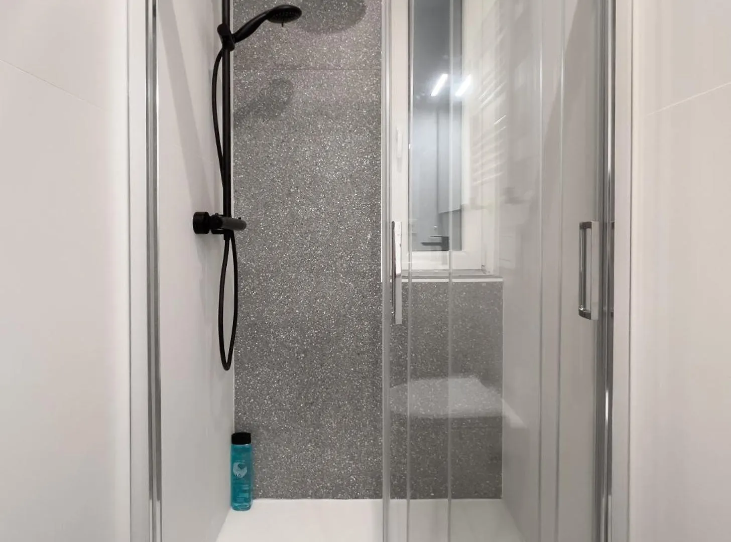 Mila I Local Rentss Lägenhet San Sebastián